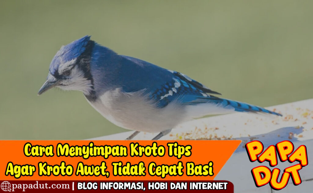 cara menyimpan kroto