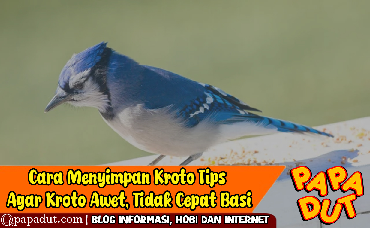 cara menyimpan kroto