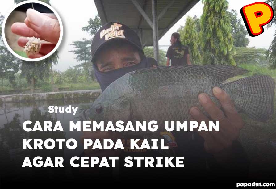 cara memasang umpan kroto pada kail