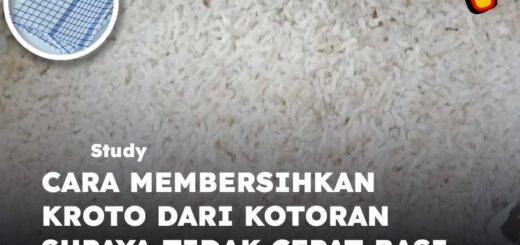 cara membersihkan kroto dari kotoran