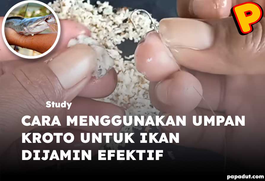 cara menggunakan umpan kroto