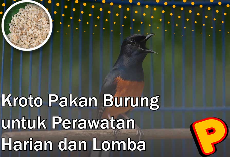 kroto pakan burung