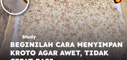 cara menyimpan kroto agar awet