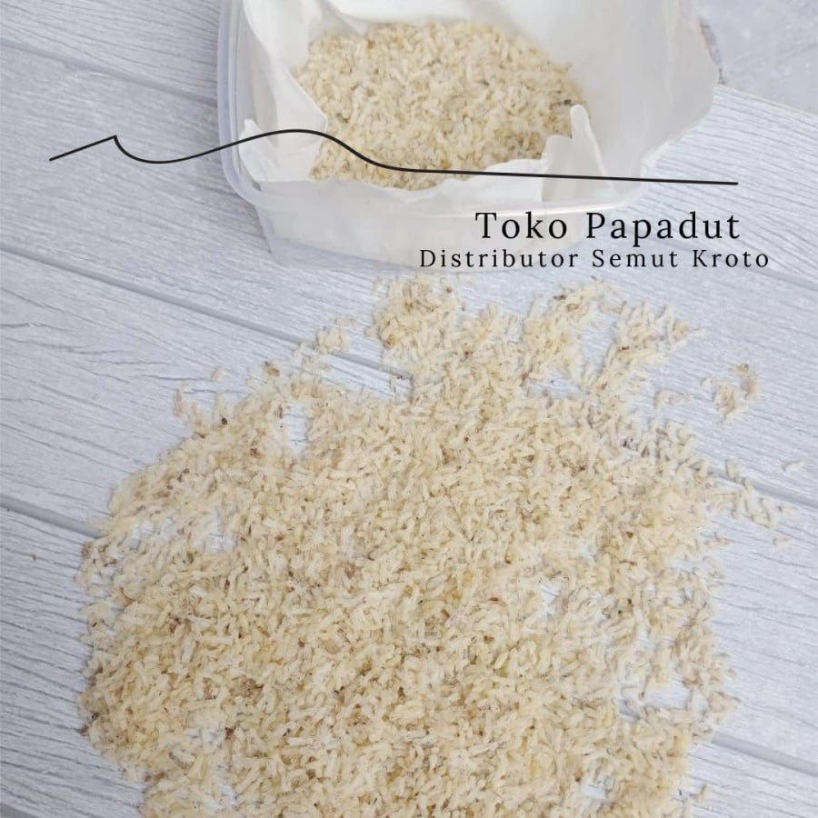 kroto excellent papadut