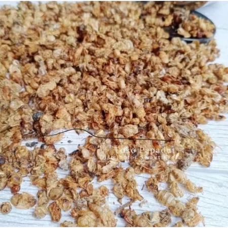 kroto kering papadut