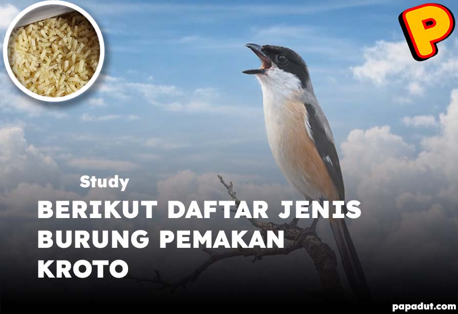 jenis burung pemakan kroto