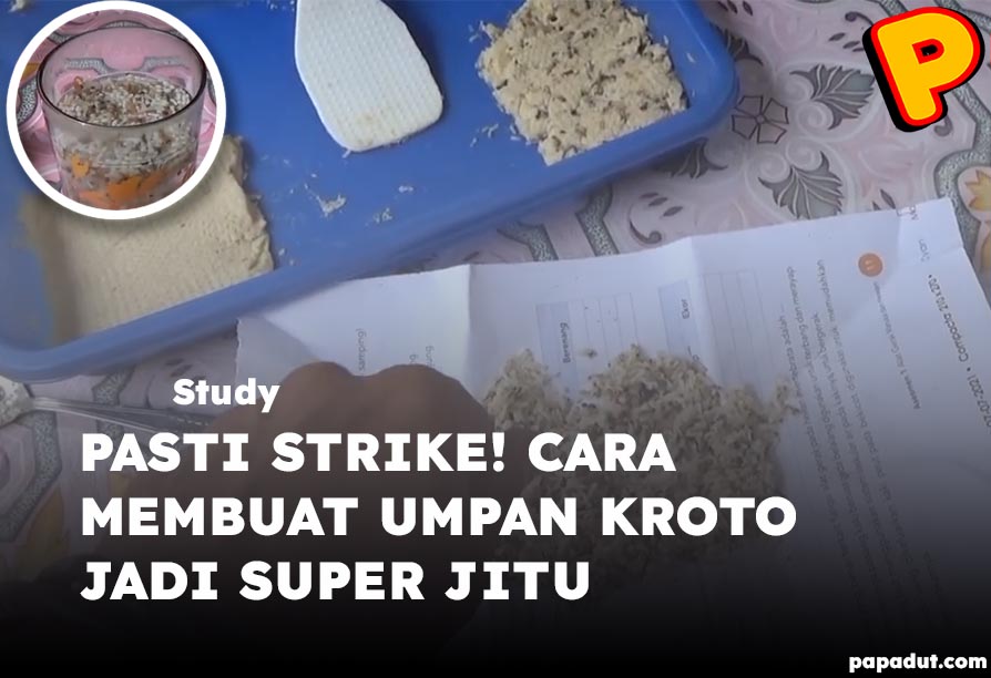 cara membuat umpan kroto